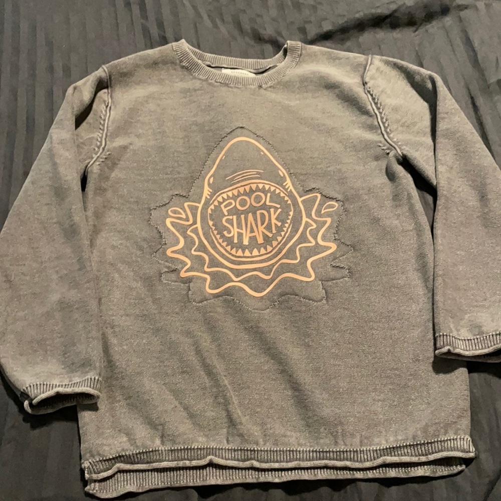 Zara “Pool Shark” sweater